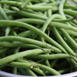 Green beans
